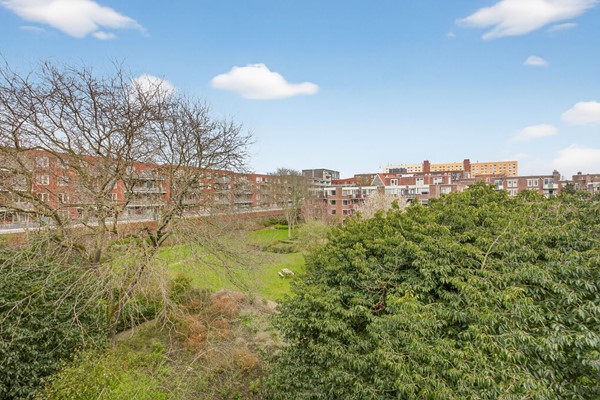 Medium property photo - Gorontalostraat 13C, 1095 TL Amsterdam